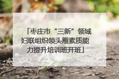 枣庄市“三新”领域妇联组织领头雁素质能力提升培训班开班
