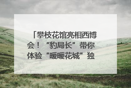 攀枝花馆亮相西博会！“豹局长”带你体验“暖暖花城”独特魅力｜西博视界