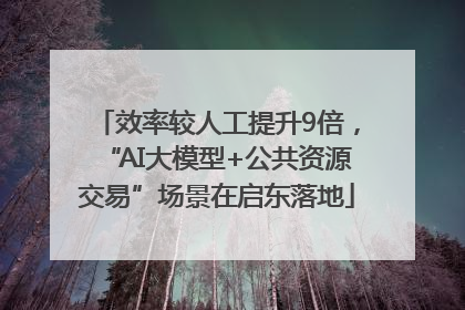效率较人工提升9倍，“AI大模型+公共资源交易”场景在启东落地