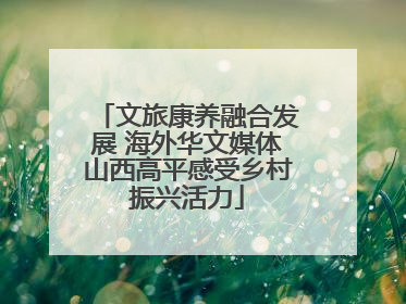 文旅康养融合发展 海外华文媒体山西高平感受乡村振兴活力