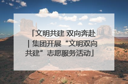 文明共建 双向奔赴｜集团开展“文明双向共建”志愿服务活动
