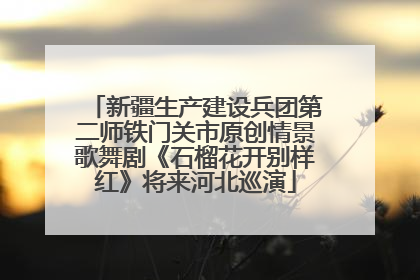 新疆生产建设兵团第二师铁门关市原创情景歌舞剧《石榴花开别样红》将来河北巡演