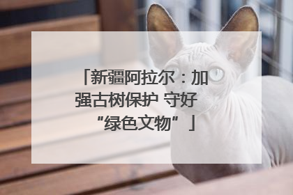 新疆阿拉尔：加强古树保护 守好“绿色文物”