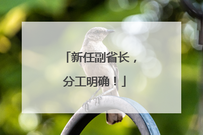 新任副省长，分工明确！