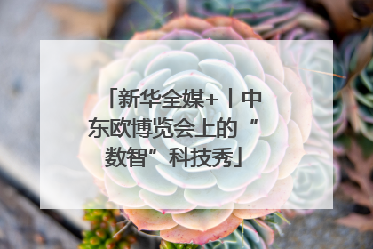 新华全媒+丨中东欧博览会上的“数智”科技秀