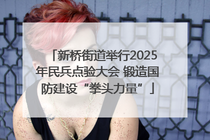 新桥街道举行2025年民兵点验大会 锻造国防建设“拳头力量”