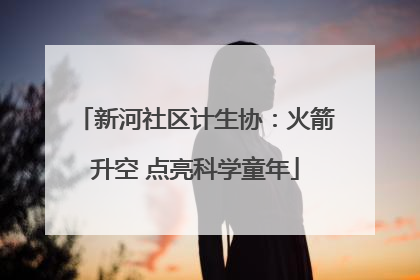 新河社区计生协：火箭升空 点亮科学童年