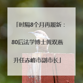 时隔8个月再履新：80后法学博士黄双燕升任赤峰市副市长