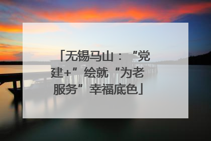 无锡马山：“党建+”绘就“为老服务”幸福底色