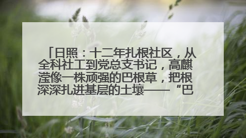 日照：十二年扎根社区，从全科社工到党总支书记，高麒滢像一株顽强的巴根草，把根深深扎进基层的土壤——“巴根草书记”的夏日叙事