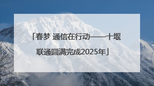春梦 通信在行动——十堰联通圆满完成2025年