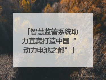 智慧监管系统助力宜宾打造中国“动力电池之都”