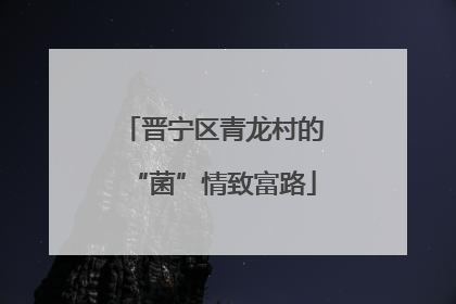 晋宁区青龙村的“菌”情致富路