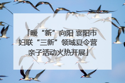 暖“新”向阳 襄阳市妇联“三新”领域夏令营亲子活动火热开展
