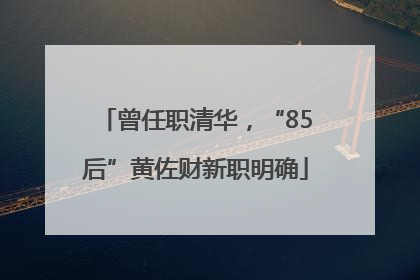 曾任职清华，“85后”黄佐财新职明确