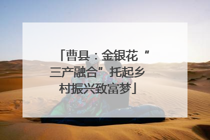 曹县：金银花“三产融合”托起乡村振兴致富梦