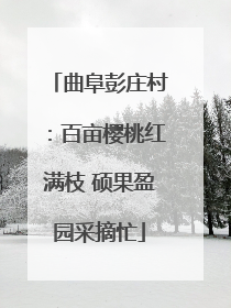 曲阜彭庄村：百亩樱桃红满枝 硕果盈园采摘忙