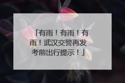 有雨！有雨！有雨！武汉交警再发考前出行提示！