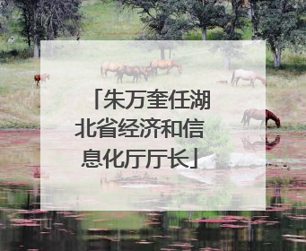朱万奎任湖北省经济和信息化厅厅长