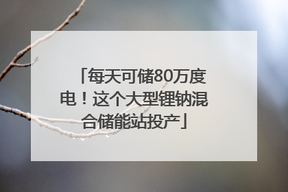 每天可储80万度电！这个大型锂钠混合储能站投产