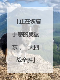 正在恢复手感的樊振东，一天四战全胜