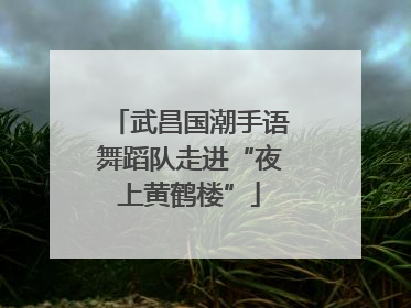 武昌国潮手语舞蹈队走进“夜上黄鹤楼”