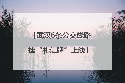 武汉6条公交线路挂“礼让牌”上线
