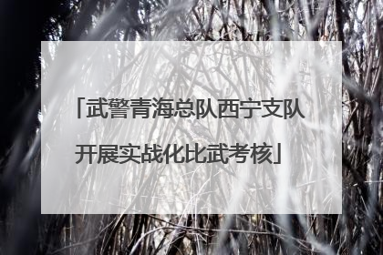 武警青海总队西宁支队开展实战化比武考核