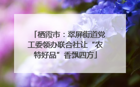 栖霞市：翠屏街道党工委领办联合社让“农特好品”香飘四方