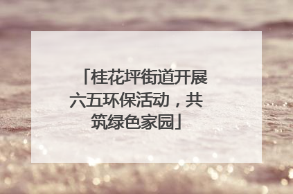 桂花坪街道开展六五环保活动，共筑绿色家园
