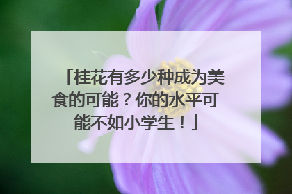 桂花有多少种成为美食的可能？你的水平可能不如小学生！