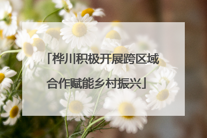 桦川积极开展跨区域合作赋能乡村振兴
