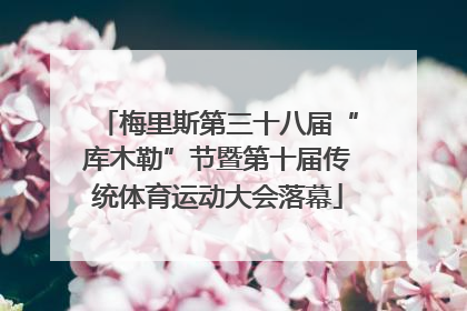 梅里斯第三十八届“库木勒”节暨第十届传统体育运动大会落幕