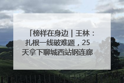 榜样在身边｜王林：扎根一线破难题，25天拿下聊城西站钢连廊“硬核”工程
