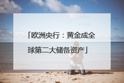 欧洲央行：黄金成全球第二大储备资产