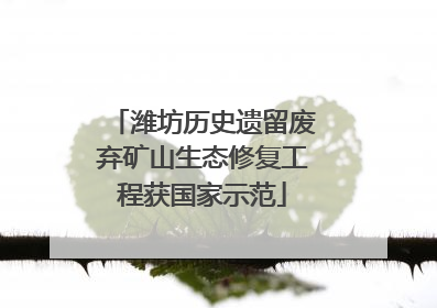 潍坊历史遗留废弃矿山生态修复工程获国家示范