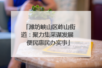 潍坊峡山区岞山街道：聚力集采谋发展 便民惠民办实事