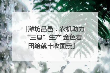 潍坊昌邑：农机助力“三夏”生产 金色麦田绘就丰收图景