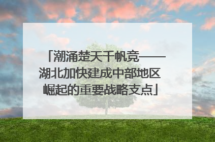 潮涌楚天千帆竞——湖北加快建成中部地区崛起的重要战略支点