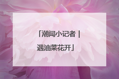 潮闻小记者｜遇油菜花开