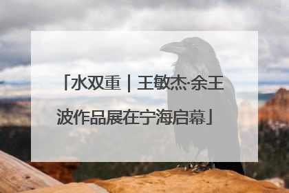 水双重｜王敏杰·余王波作品展在宁海启幕