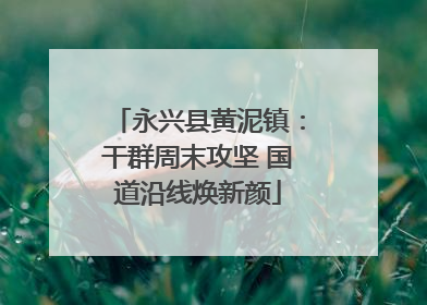 永兴县黄泥镇：干群周末攻坚 国道沿线焕新颜