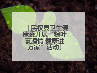 民权县卫生健康委开展“粽叶裹温情 健康进万家”活动