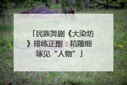 民族舞剧《大染坊》排练正酣：精雕细琢见“人物”