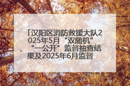 汉阳区消防救援大队2025年5月“双随机”、“一公开”监督抽查结果及2025年6月监督抽查任务公示