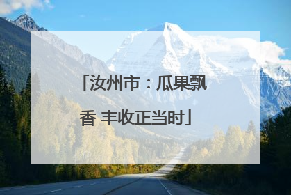 汝州市：瓜果飘香 丰收正当时