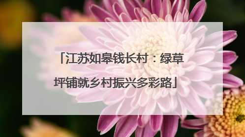 江苏如皋钱长村：绿草坪铺就乡村振兴多彩路