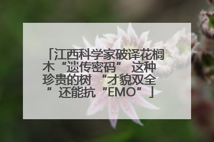 江西科学家破译花榈木“遗传密码” 这种珍贵的树 “才貌双全”还能抗“EMO”
