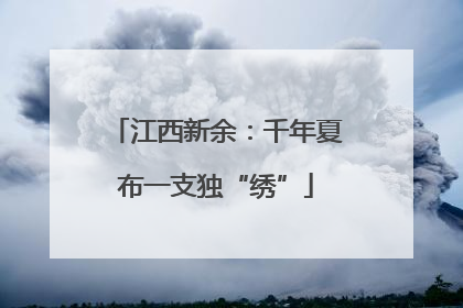 江西新余：千年夏布一支独“绣”