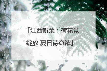 江西新余：荷花竞绽放 夏日诗意浓